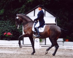 broodmare Dirty Dancing 27 (Hanoverian, 2003, from Depardieu 11)