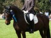 dressage horse Klooster's Jesmie (Nederlands Welsh Ridepony, 2007, from Orchard Boginov)