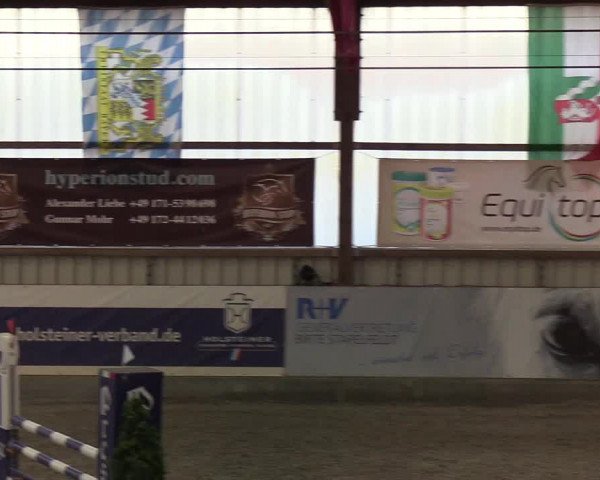 Nordic Jumping events 2020: Turnierergebnisse + Videos