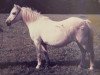 Zuchtstute Coed Coch Siwan (Welsh Mountain Pony (Sek.A), 1953, von Coed Coch Madog)