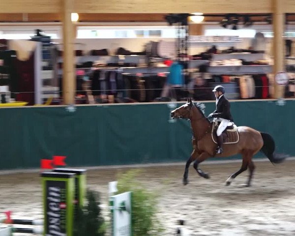 Reitturnier Dielsdorf, Horsepark 2020