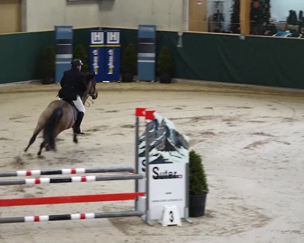 Reitturnier Dielsdorf, Horsepark 2020
