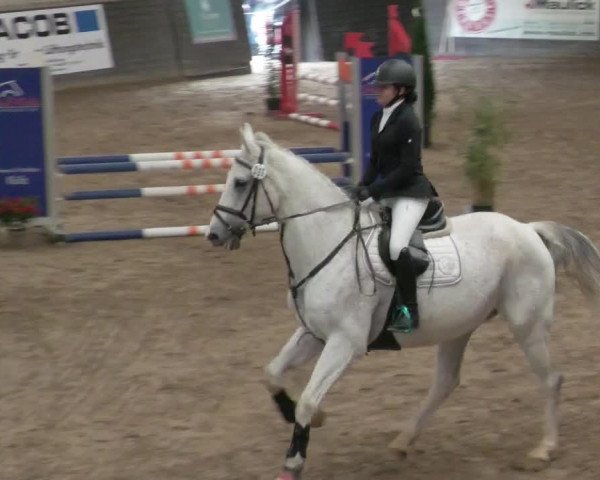 Reitturnier Heilbronn 2021
