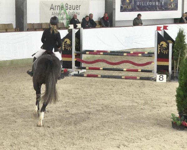 Reitturnier Karlsfeld/Obb. 2020