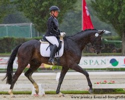 dressage horse Forever mine 4 (Hannoveraner, 2010, from Fürst Romancier)