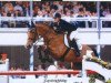 broodmare Kyraleen (KWPN (Royal Dutch Sporthorse), 1992, from Quidam de Revel)