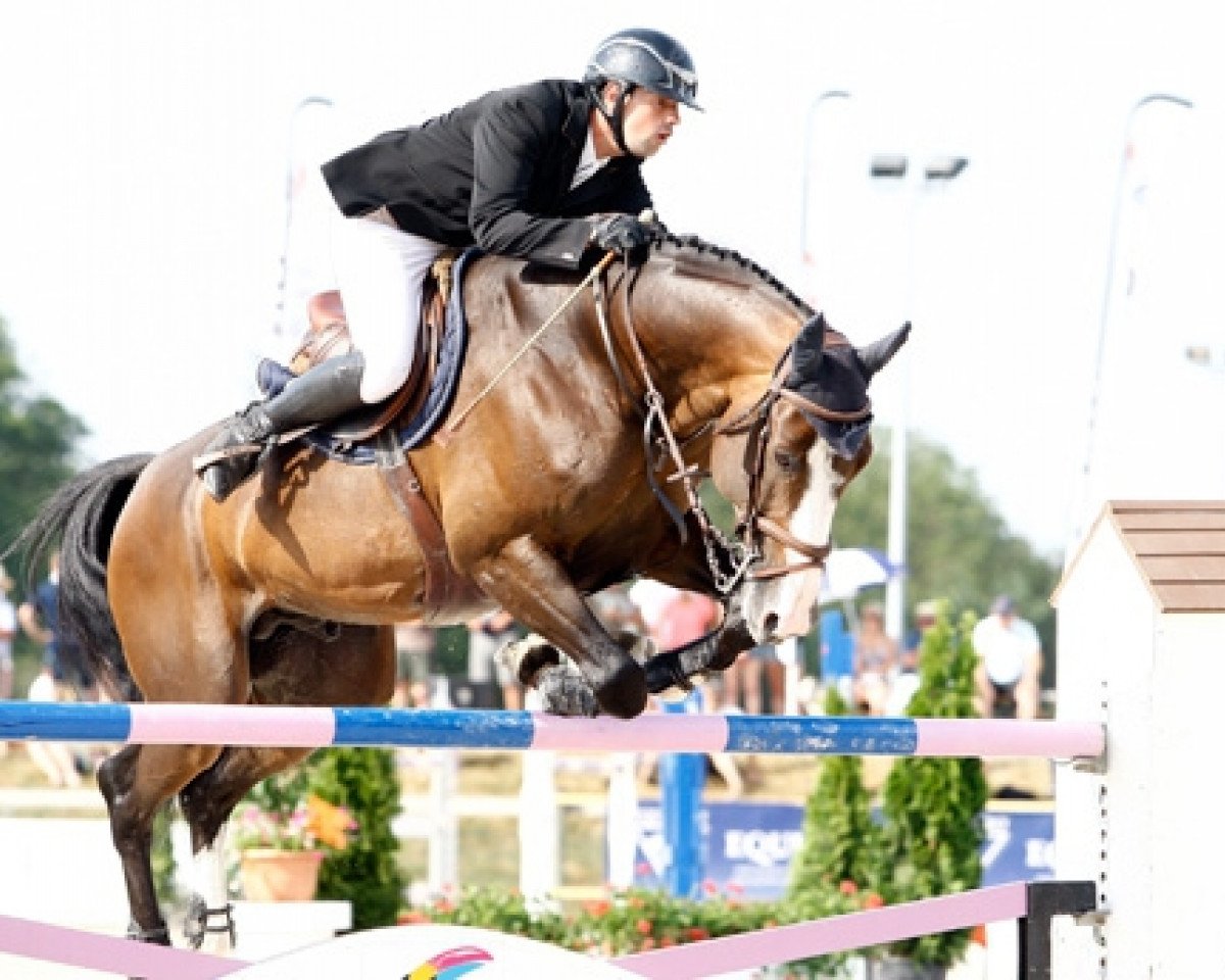 jumper Shiva D'Amaury (Selle Français, 2006, from For Pleasure)