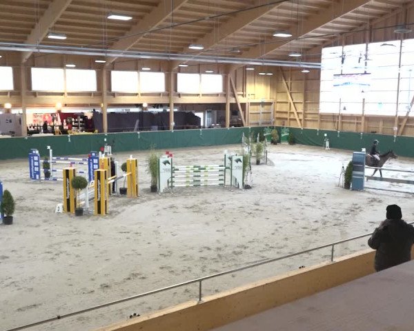 Reitturnier Dielsdorf, Horsepark 2020