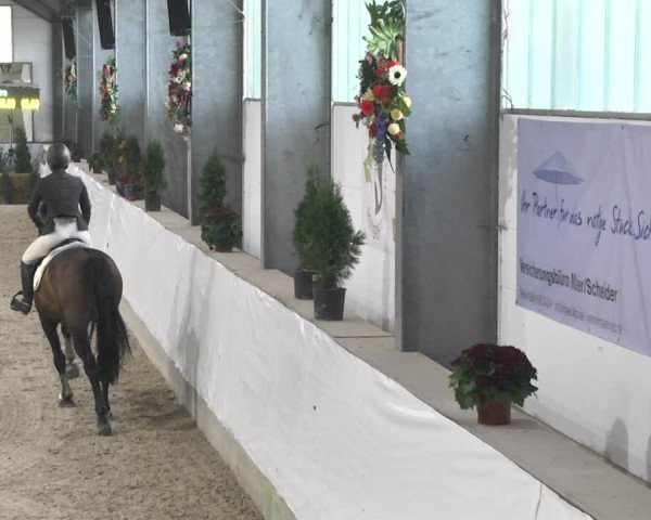 Reitturnier Karlsfeld/Obb. 2020