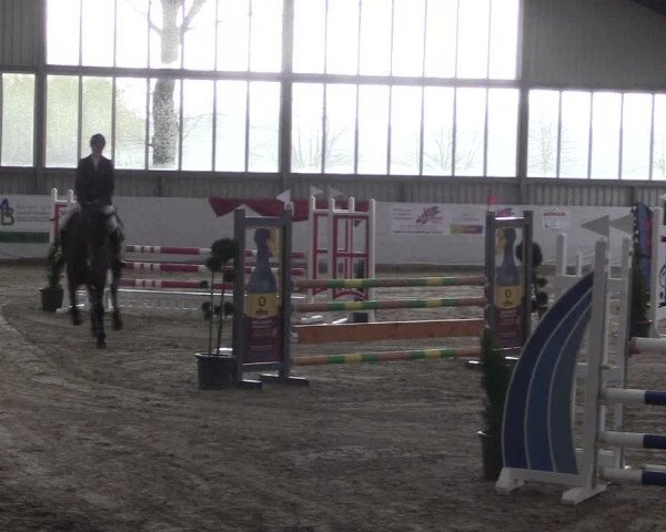 Reitturnier Greven 2020