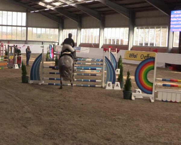 Reitturnier Greven 2020