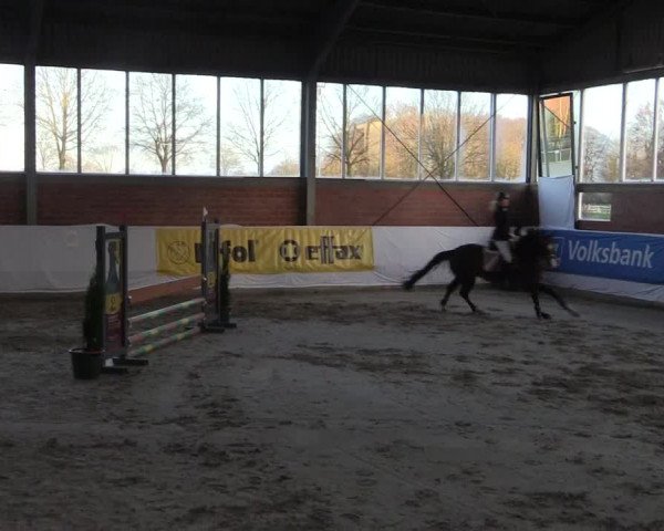 Reitturnier Greven 2020