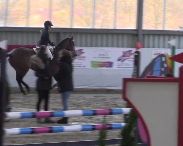 Reitturnier Greven 2020