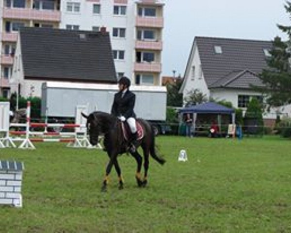 broodmare Nion Flax (German Riding Pony, 2008, from Nobelboy)