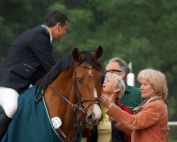 broodmare Classic Girl 19 (Holsteiner, 2003, from Carpaccio)