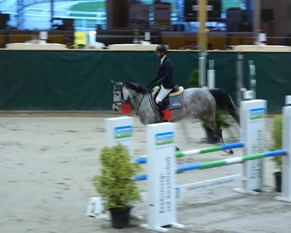 Reitturnier Dielsdorf, Horsepark 2020