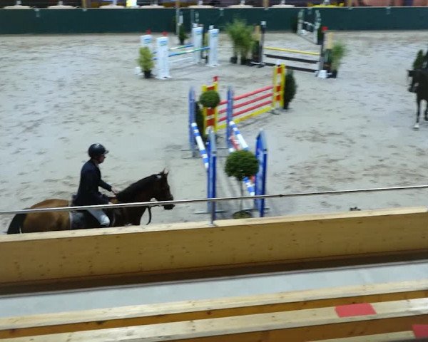 Reitturnier Dielsdorf, Horsepark 2020