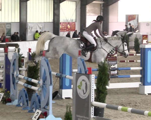 Reitturnier Karlsfeld/Obb. 2020