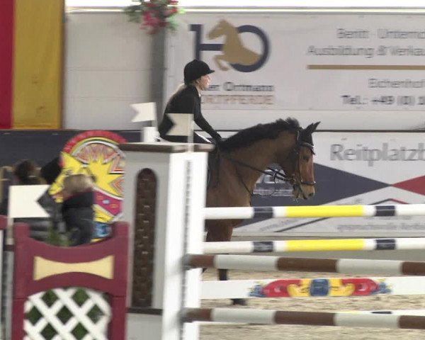 Reitturnier Karlsfeld/Obb. 2020