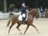 dressage horse Schapur 2 (German Riding Pony, 2001, from Sweet Dream SF)