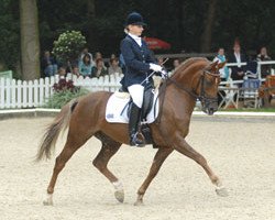 Dressurpferd Schapur 2 (Deutsches Reitpony, 2001, von Sweet Dream SF)