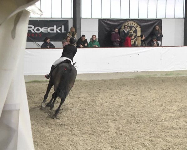 Reitturnier Karlsfeld/Obb. 2020