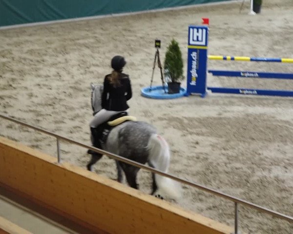 Reitturnier Dielsdorf, Horsepark 2020
