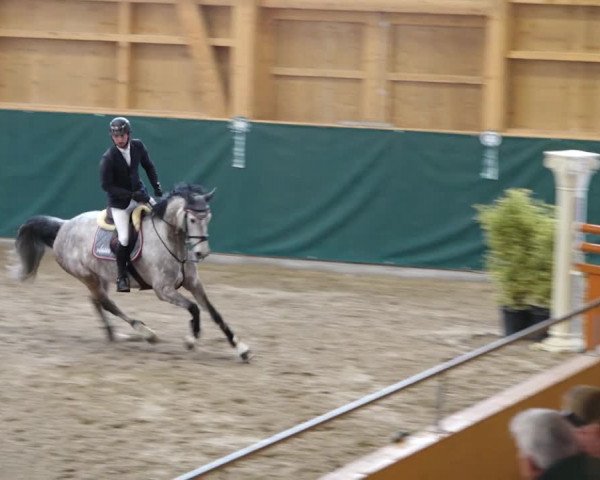 Reitturnier Dielsdorf, Horsepark 2020