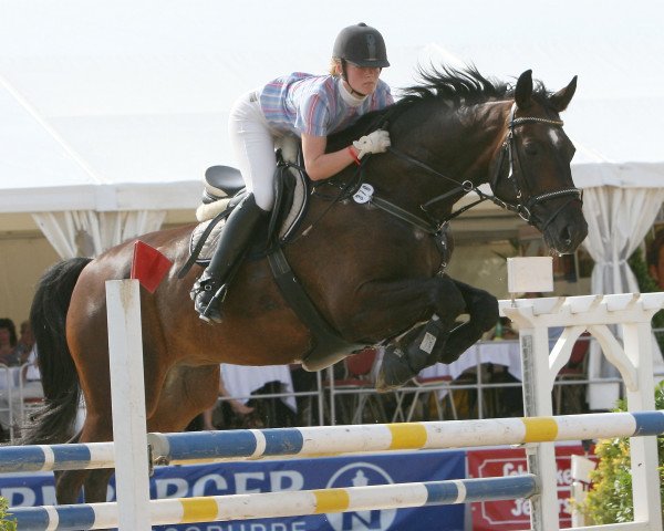 horse Gaudos (Mecklenburg, 1996, from Grannenstolz)