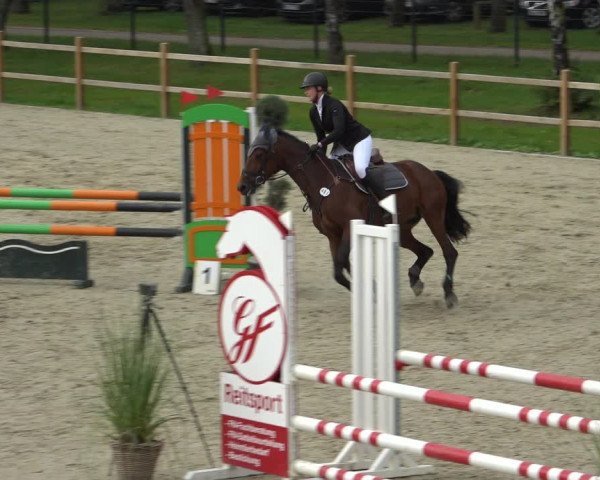 Reitturnier Westergellersen 2021