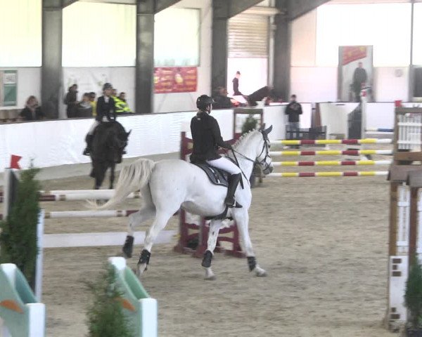 Reitturnier Karlsfeld/Obb. 2020