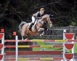 broodmare Carmencita (Oldenburg show jumper, 2003, from Armitage)