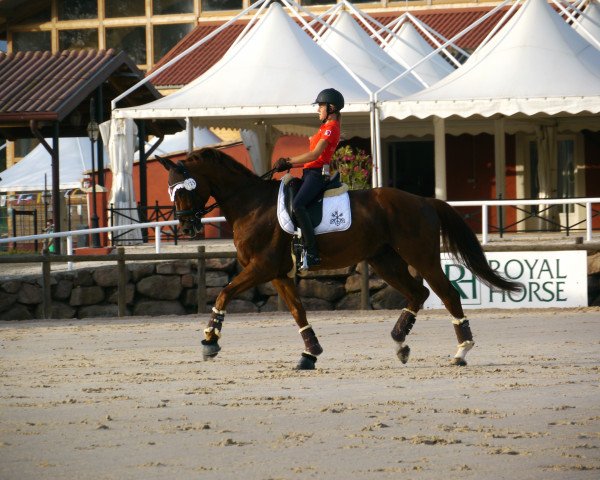 dressage horse Rising Star (Hanoverian, 2006, from Rascalino)