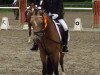 jumper Diandra (German Riding Pony, 2005, from Danny Gold)