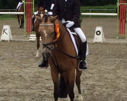 jumper Diandra (German Riding Pony, 2005, from Danny Gold)