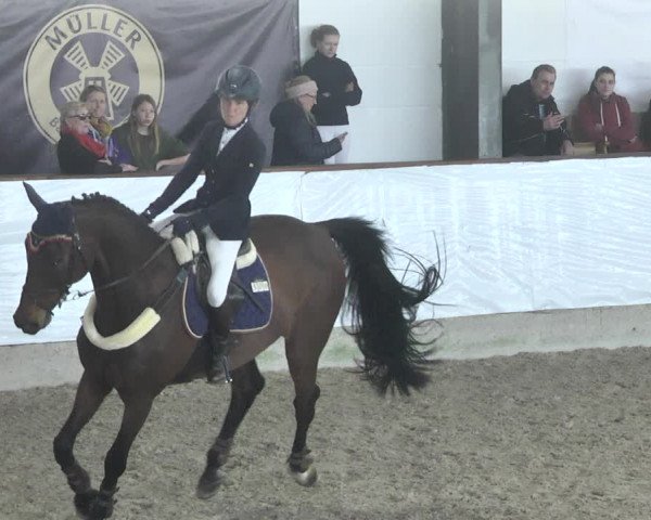 Reitturnier Karlsfeld/Obb. 2020