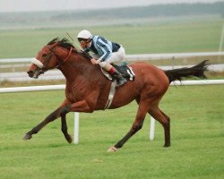 stallion Seattle Dancer xx (Thoroughbred, 1984, from Nijinsky xx)