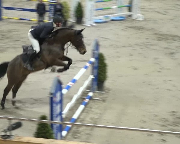 Reitturnier Dielsdorf, Horsepark 2020