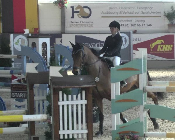 Reitturnier Karlsfeld/Obb. 2020