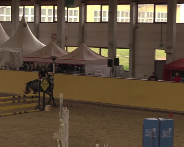Reitturnier Prussendorf 2020