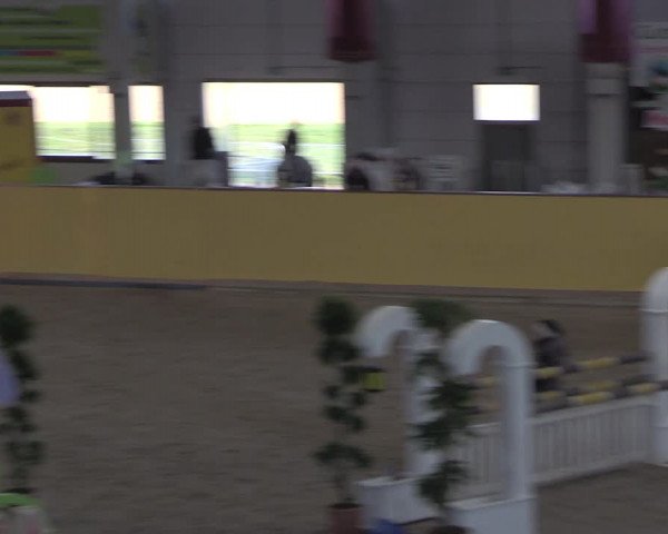 Reitturnier Prussendorf 2020