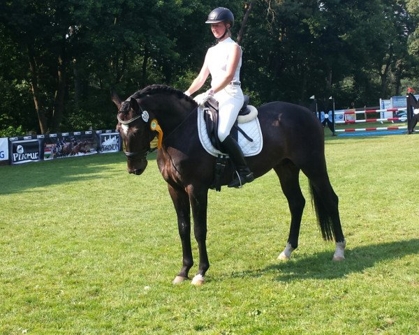 dressage horse Liquoroso (Westphalian, 2011, from Lissaro)