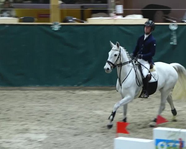 Reitturnier Dielsdorf, Horsepark 2020
