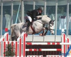 jumper Camillo 151 (Westphalian, 2004, from Cornet Obolensky)