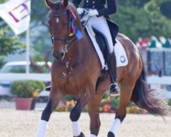 dressage horse Sjapoer (KWPN (Royal Dutch Sporthorse), 1999, from Contango)