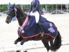 dressage horse Sundayboy (KWPN (Royal Dutch Sporthorse), 1999, from Kennedy)