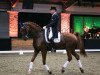 dressage horse Zero Gravity (KWPN (Royal Dutch Sporthorse), 2004, from Royal Hit)