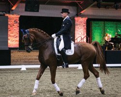 dressage horse Zero Gravity (KWPN (Royal Dutch Sporthorse), 2004, from Royal Hit)