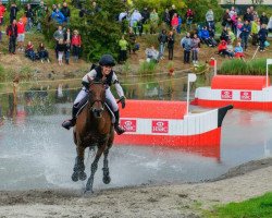 broodmare Jiva de la Brasserie CH (Swiss Warmblood,  , from Cavallieri xx)