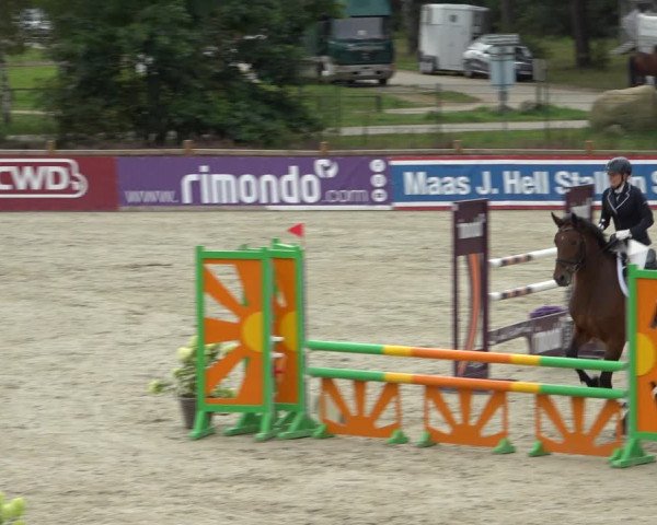 Reitturnier Westergellersen 2021
